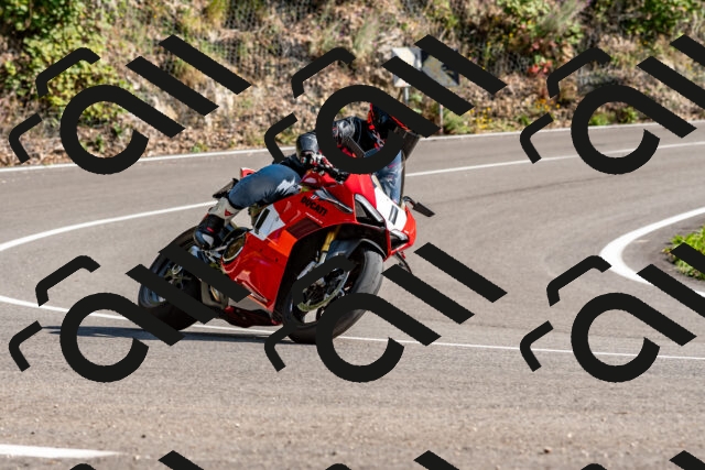 202509131558-DSC_9853_d2_