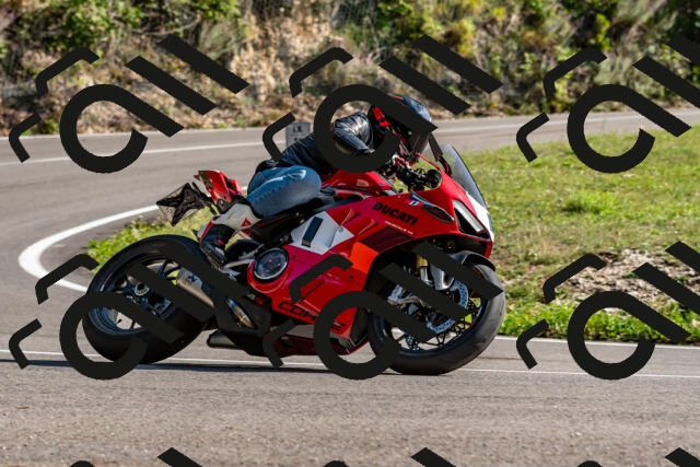 202509131558-DSC_9854_d2_