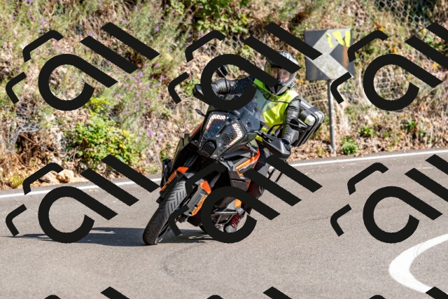 202509131559-DSC_9855_d2_