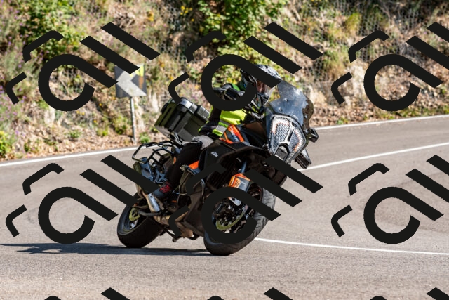 202509131559-DSC_9856_d2_