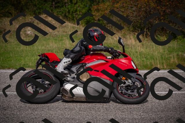 20250914110200-Z62_5488_am_