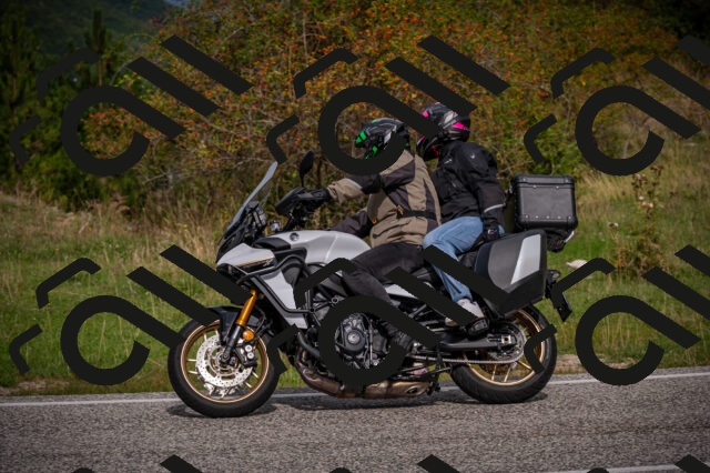 20250914110603-Z62_5545_am_