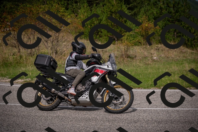 20250914110709-Z62_5575_am_