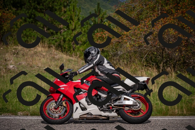 20250914110753-Z62_5607_am_