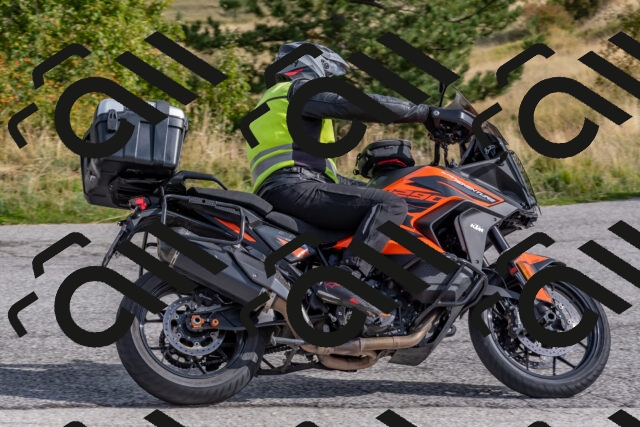 202509141006-DSC_1343_c4_