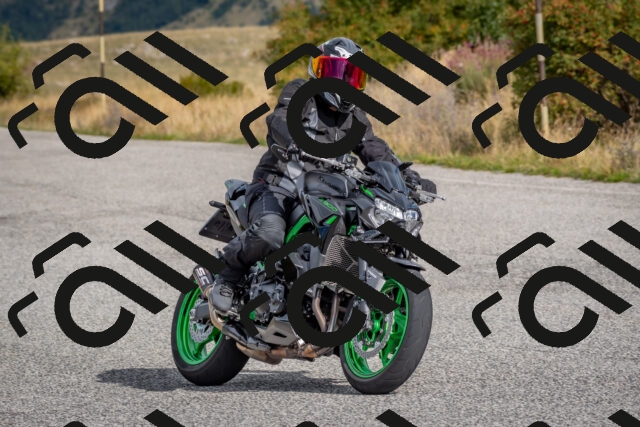 202509141013-DSC_1371_c4_