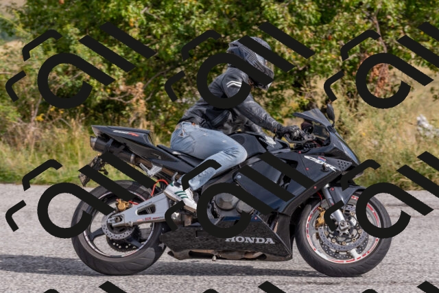 202509141013-DSC_1381_c4_