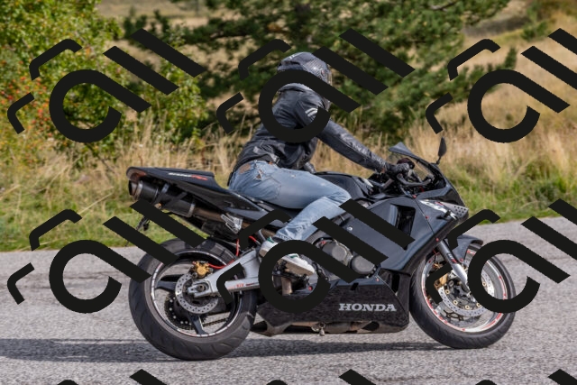 202509141013-DSC_1382_c4_