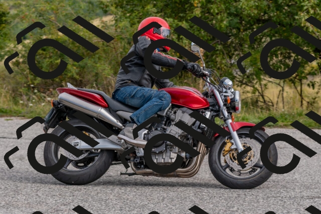 202509141018-DSC_1396_c4_