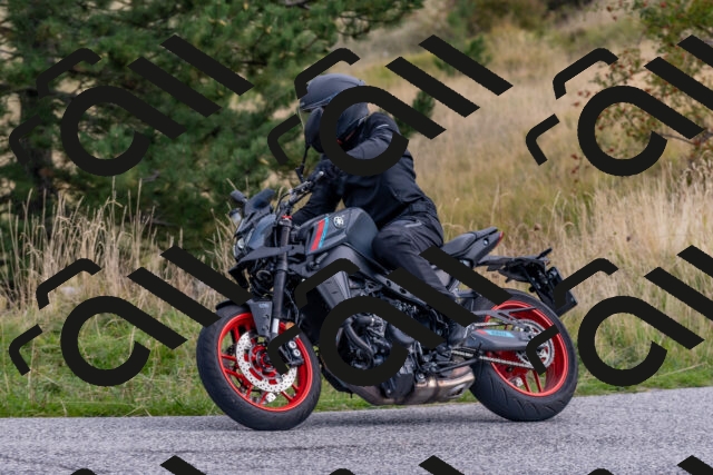 202509141023-DSC_1415_c4_