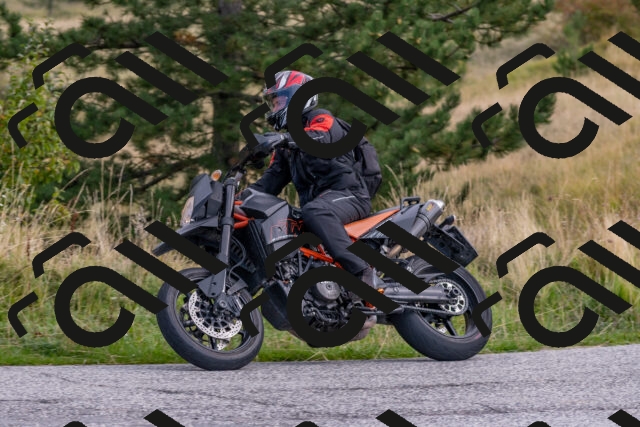 202509141026-DSC_1447_c4_