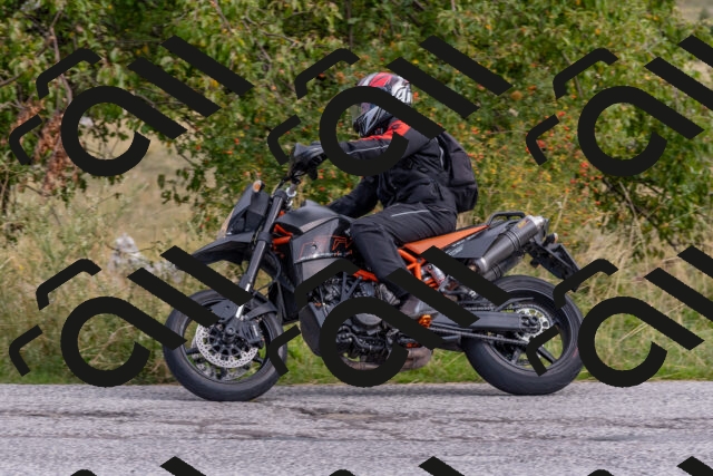 202509141026-DSC_1448_c4_