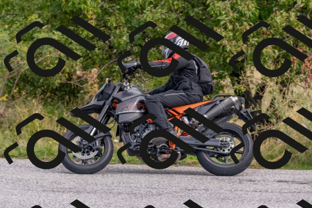 202509141026-DSC_1449_c4_