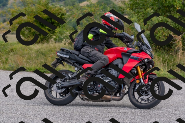 202509141028-DSC_1453_c4_