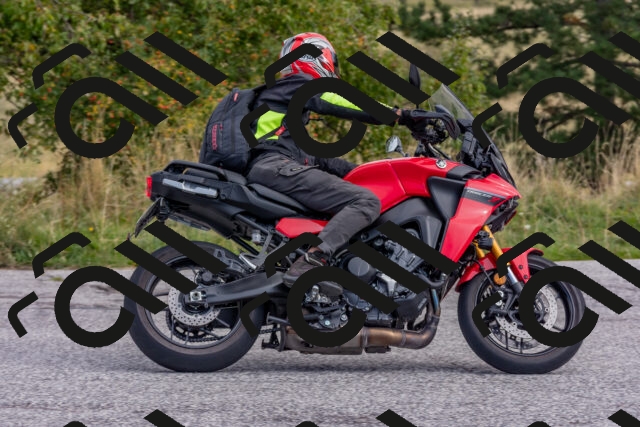 202509141028-DSC_1454_c4_