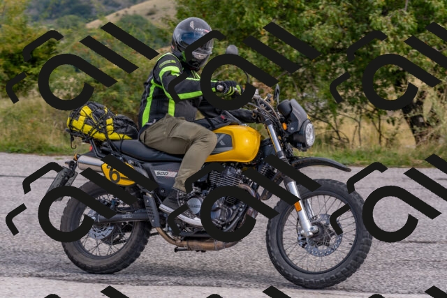 202509141031-DSC_1466_c4_