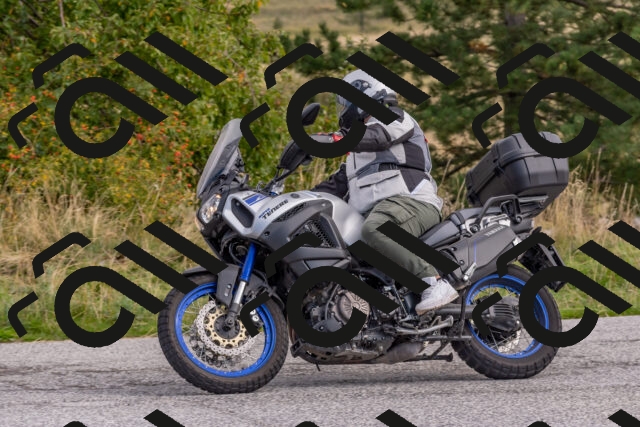 202509141032-DSC_1472_c4_