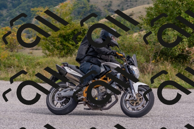 202509141037-DSC_1500_c4_