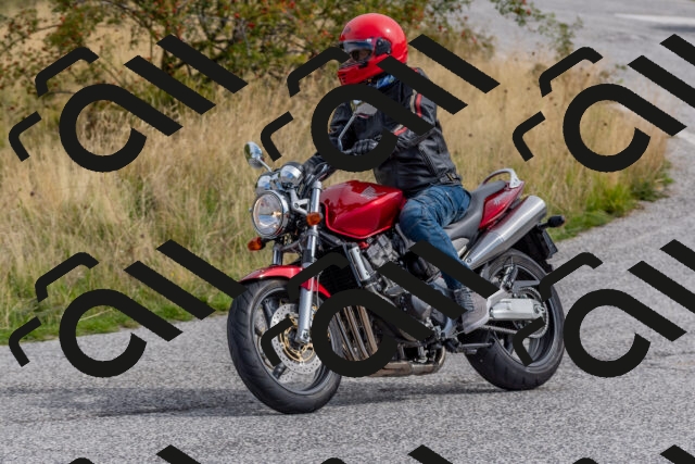 202509141108-DSC_1695_c4_