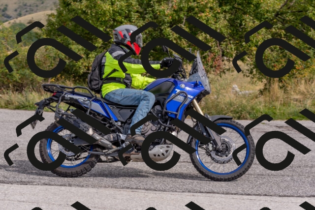 202509141110-DSC_1707_c4_