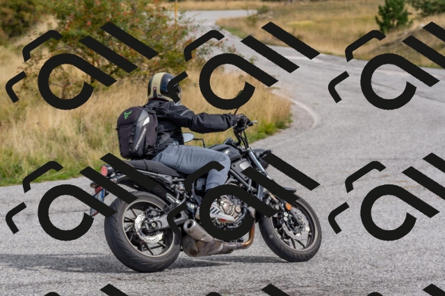 202509141117-DSC_1750_c4_