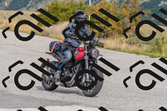 202509141117-DSC_1752_c4_