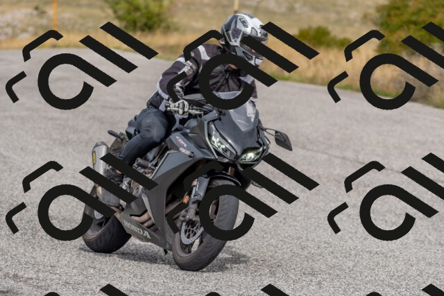 202509141138-DSC_2022_c4_