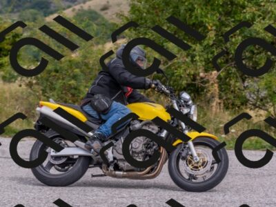 202509141150-DSC_2213_c4_