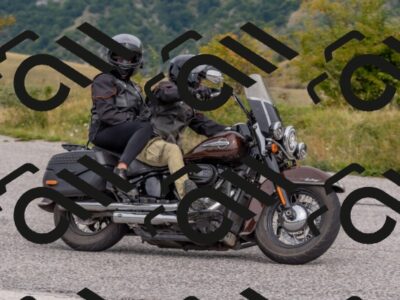 202509141150-DSC_2216_c4_