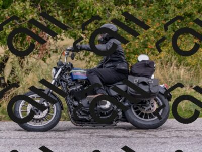 202509141155-DSC_2257_c4_