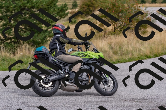 202509141200-DSC_2325_c4_