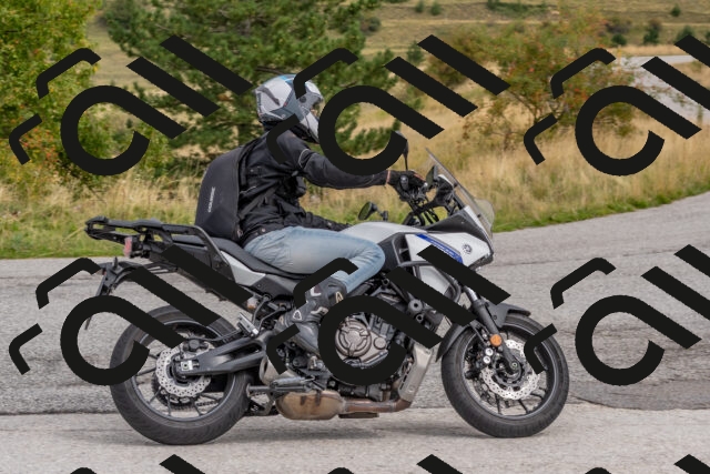 202509141202-DSC_2340_c4_