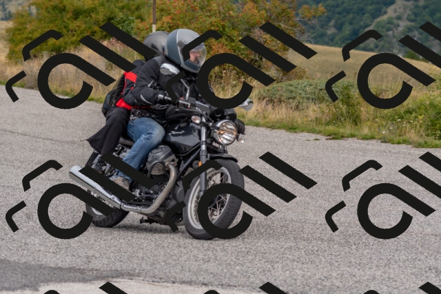 202509141202-DSC_2342_c4_