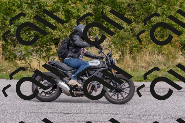 202509141202-DSC_2346_c4_