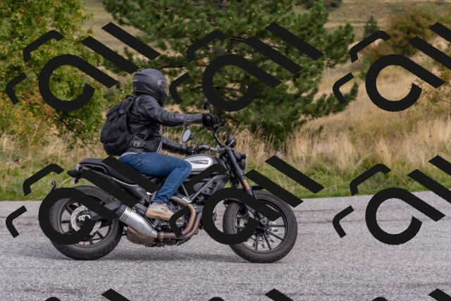 202509141202-DSC_2347_c4_