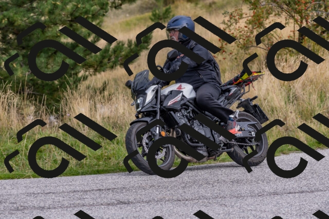 202509141202-DSC_2349_c4_