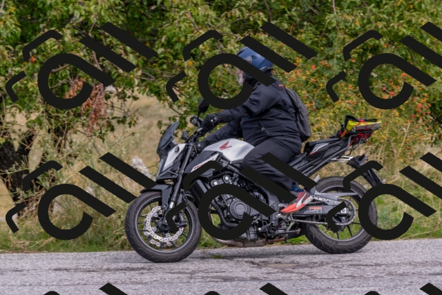 202509141202-DSC_2350_c4_