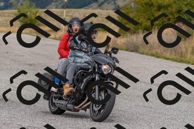 202509141204-DSC_2352_c4_