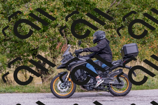 202509141207-DSC_2362_c4_