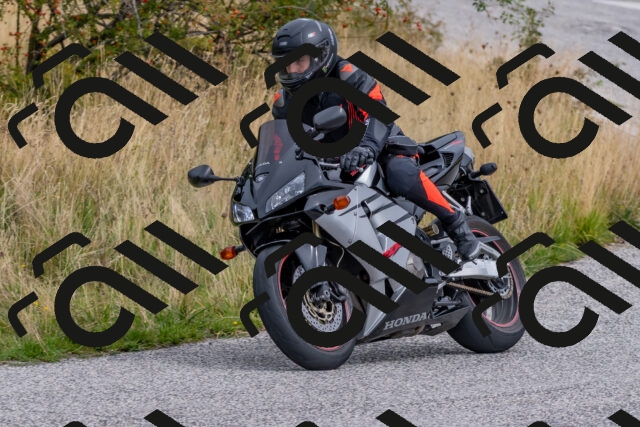 202509141209-DSC_2372_c4_