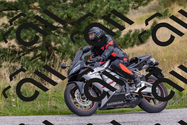 202509141209-DSC_2373_c4_