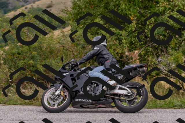 202509141209-DSC_2379_c4_