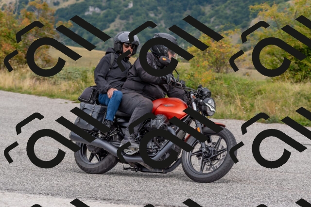 202509141210-DSC_2383_c4_