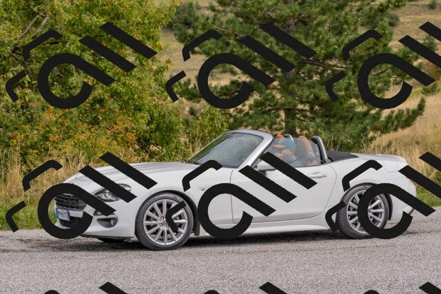 202509141211-DSC_2386_c4_