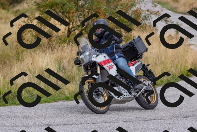 202509141227-DSC_2566_c4_