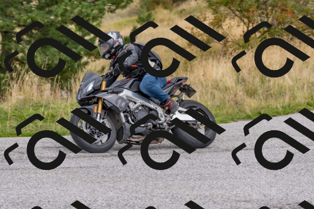 202509141227-DSC_2569_c4_