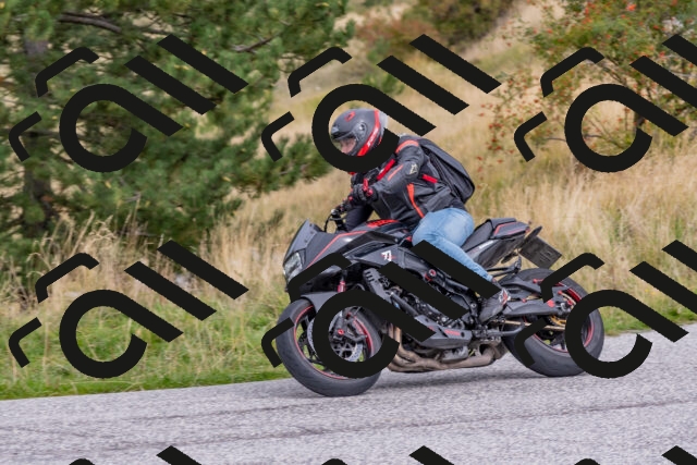 202509141227-DSC_2573_c4_