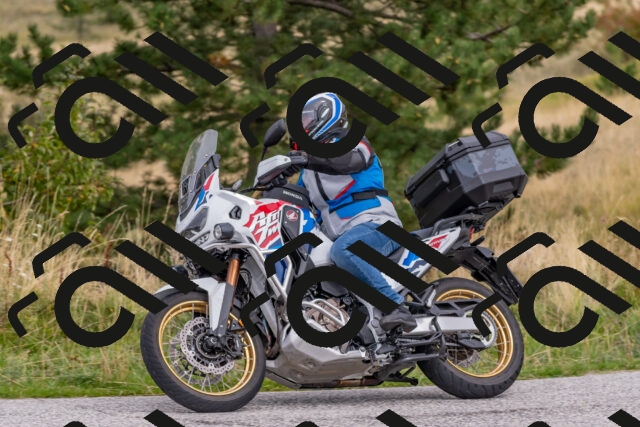 202509141227-DSC_2576_c4_