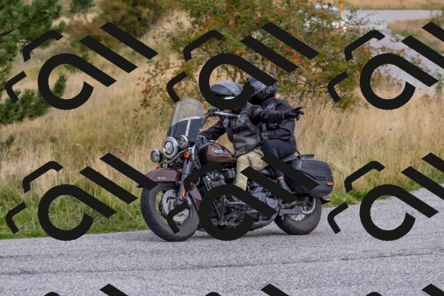 202509141228-DSC_2595_c4_