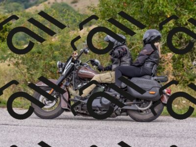 202509141228-DSC_2598_c4_